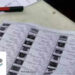 voter list