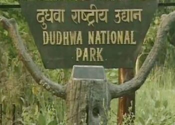 Tiger Reserve