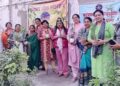TREE PLANTATION