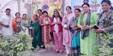 TREE PLANTATION