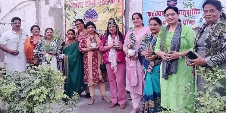 TREE PLANTATION