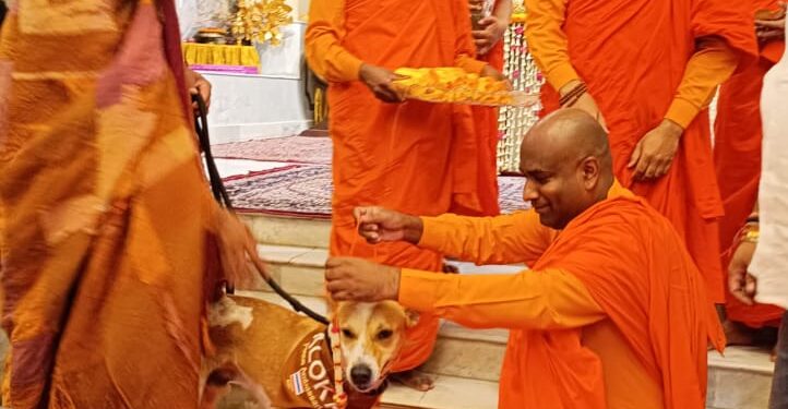 Monks in Sarnath