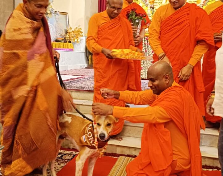 Monks in Sarnath