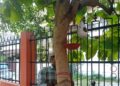 Birds Find Shelter