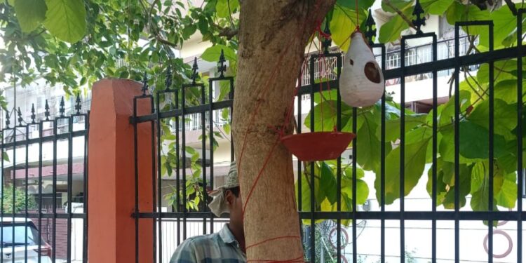 Birds Find Shelter