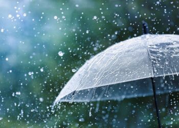 Monsoon Rain