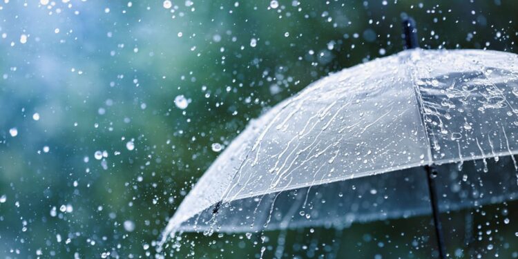Monsoon Rain