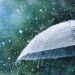 Monsoon Rain